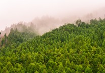 魏小安：山西旅游的转型升级
