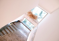 陈申俊：从“萝卜快跑”到酒店业变革的启发