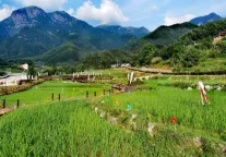 【户外天堂 度假胜地】武功山景区花海季即将来临！