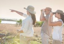 广西防城港市9大文旅项目集中开竣工，总投资11亿元