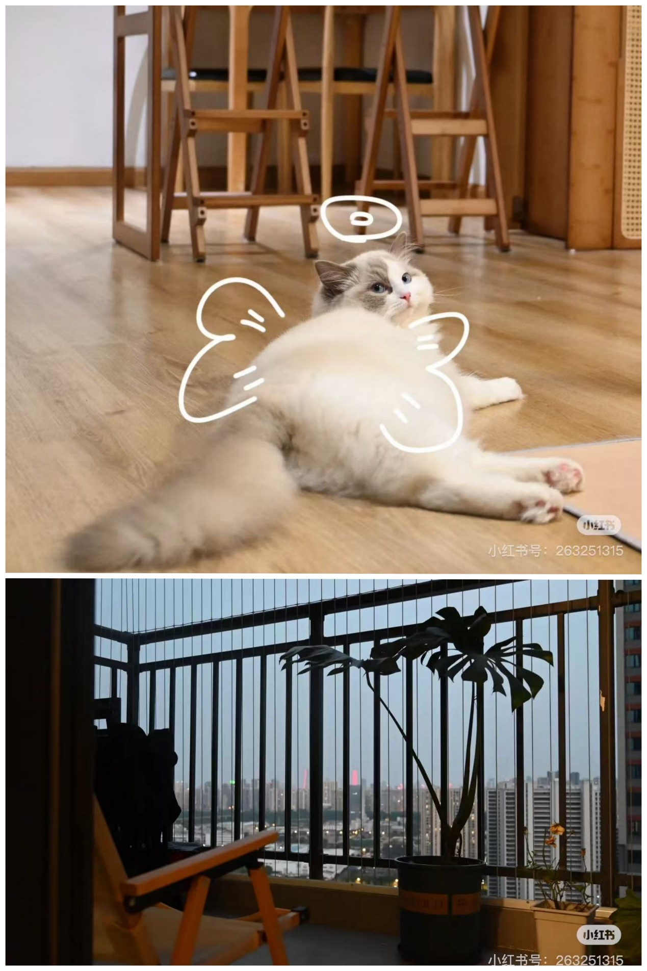 图片9.png