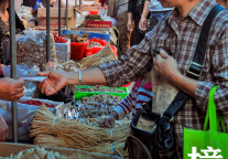 樟树，不是树。