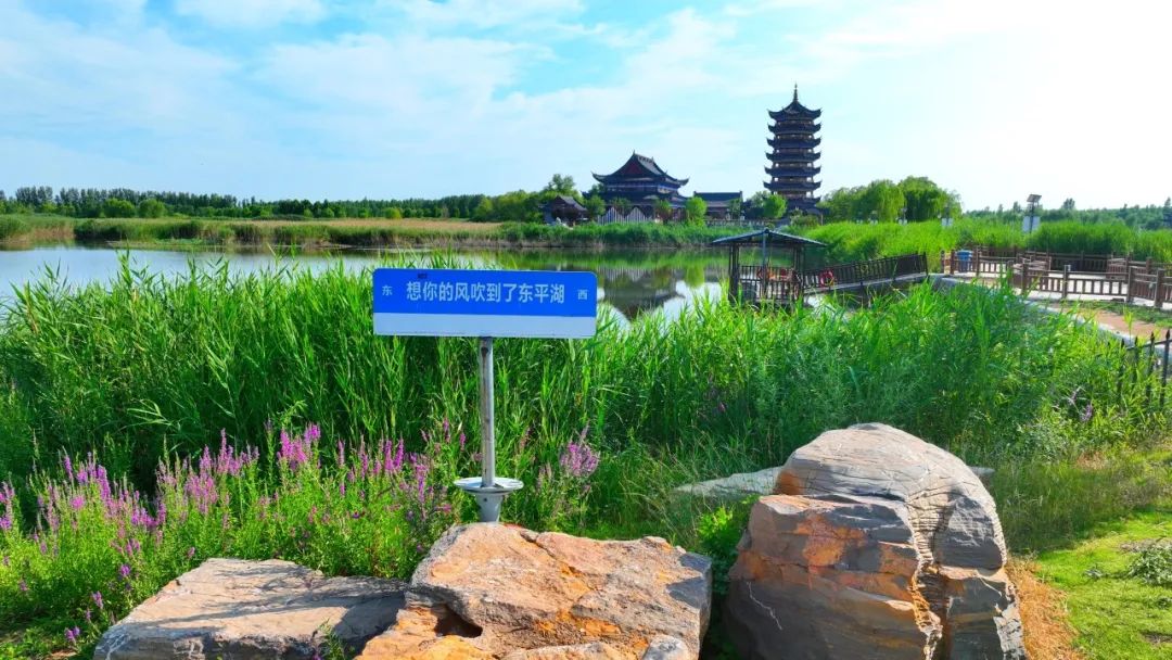 这么美、那么灵，周末到东平→我在东平湖等你~