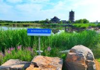 这么美、那么灵，周末到东平→我在东平湖等你~