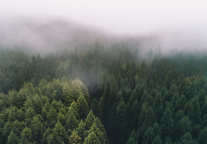 国庆火了，它却开始“劝退”游客？