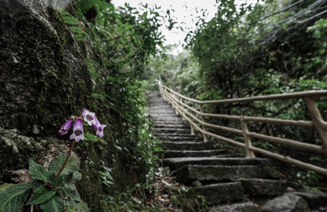 红旗招展下的三清山景区，游人如织、秩序井然！