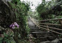 红旗招展下的三清山景区，游人如织、秩序井然！