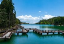 用一百种方式说爱你，不如听听《爱我就来明月山》