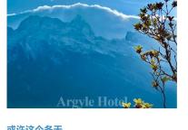 雅阁酒店集团|泰合卓凡雅阁酒店，焕然·中餐全新升级解锁中