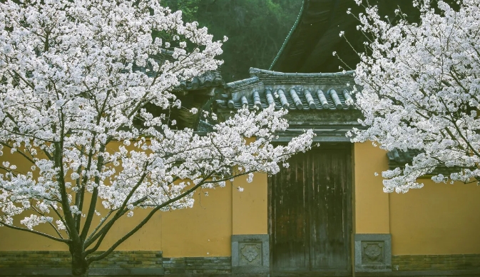 微信截图_20240327174309.png
