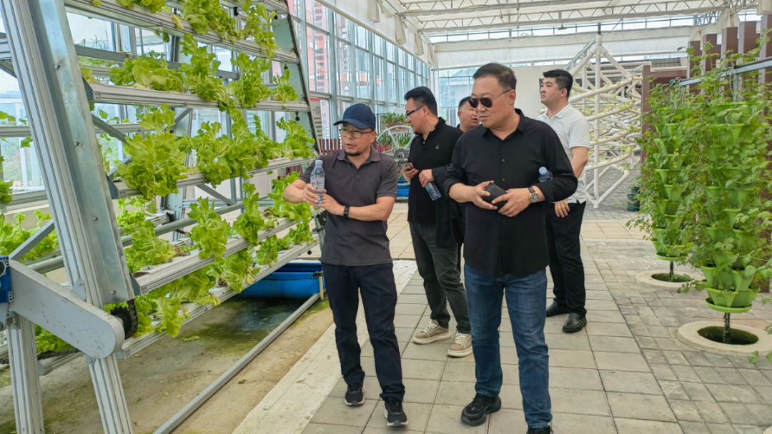 榆林文旅公司考察组到安康文旅调研学习