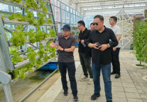 榆林文旅公司考察组到安康文旅调研学习