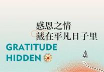 万澳 ‖ 1095≈455288，感恩！