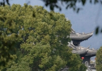 今日清明，府城满目皆春色，游衍追思莫忘归