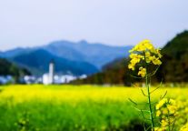 眷念“明月之都”宜春，入住格菲酒店吧