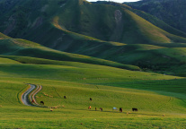 805万旅游大军涌入，新疆火了，新疆酒店投资呢?