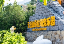 暑假快冲！可爱到犯规的云丘山景区萌宠乐园也太适合孩子们啦！