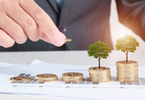 祥源文旅春节假期春节期间接待游客79.17万人次 营业收入4963.66万元