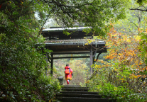 张艺谋执导的“印象大红袍”闯关港股IPO