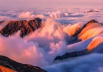 云海“出勤率”100%！你还在犹豫什么？