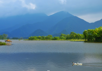 湖北文旅集团：何以用“湖北速度”讲好“荆楚故事”？