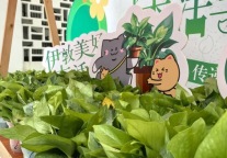 招商蛇口招商伊敦美好森活节：传“书”希望，传递绿意 