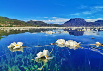 泸沽湖英迪格开放7月30日之后预订