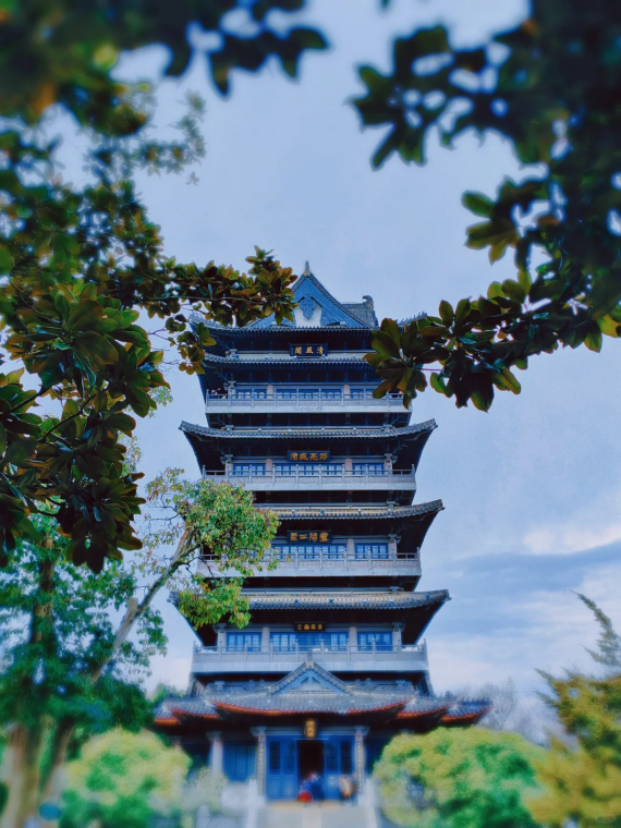图片23.png