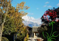 雅阁酒店集团|途景雅阁度假酒店邀您解锁纳西文化体验之旅