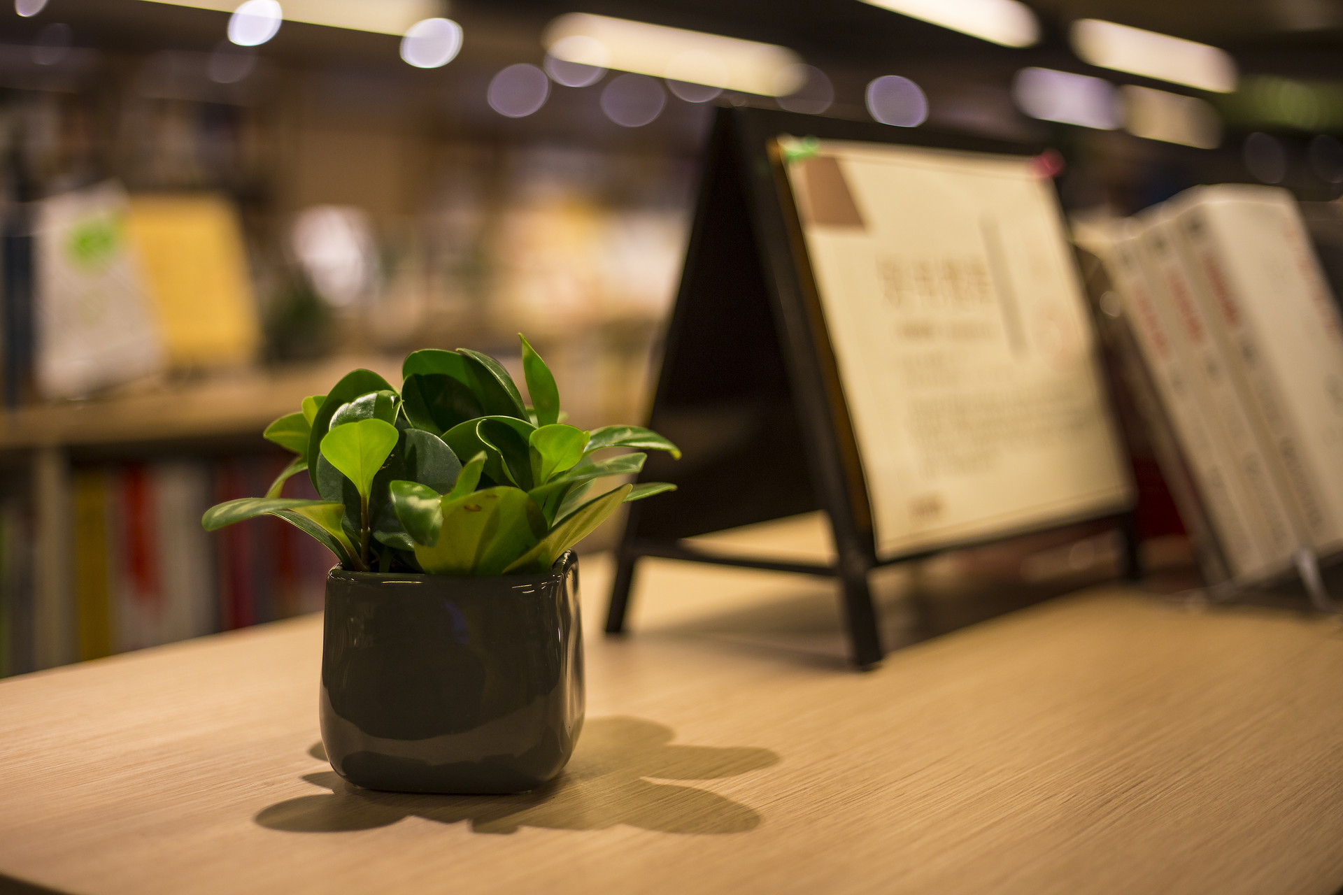 杭州之江新城万枫酒店正式启幕，万豪国际拓展杭州布局