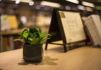 杭州之江新城万枫酒店正式启幕，万豪国际拓展杭州布局