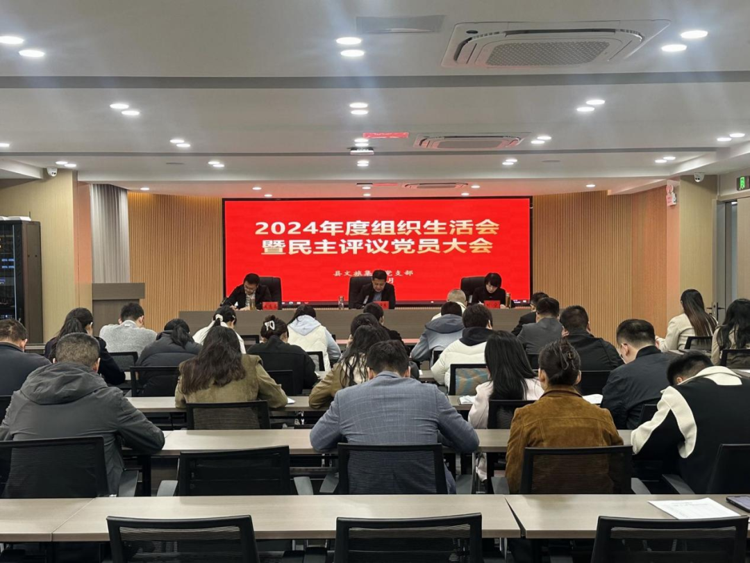 肥西文旅集团党支部召开2024年度组织生活会暨民主评议党员大会