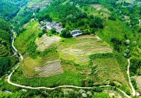 水影天光，如诗如画！一起来看明月山景区的梯田究竟有多美！