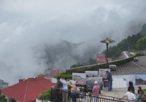 名人名家上庐山风景区丨笔墨丹青聚 名家众绘匡庐图