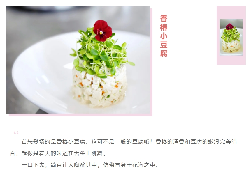 雅阁酒店集团|泰合卓凡雅阁酒店新菜上线，吃货们的福音来啦