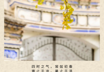 雅阁酒店集团|邂逅金秋斑斓，开启云南缤纷旅途