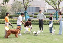 宠物友好、设施多样……毕业后的住所，方隅给你安排好了