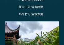 雅阁酒店集团|走进旷达的自然，解开大理自然的方程式