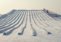 河北石家庄热雪奇迹雪场启幕 雪场总建筑面积超3万平方米