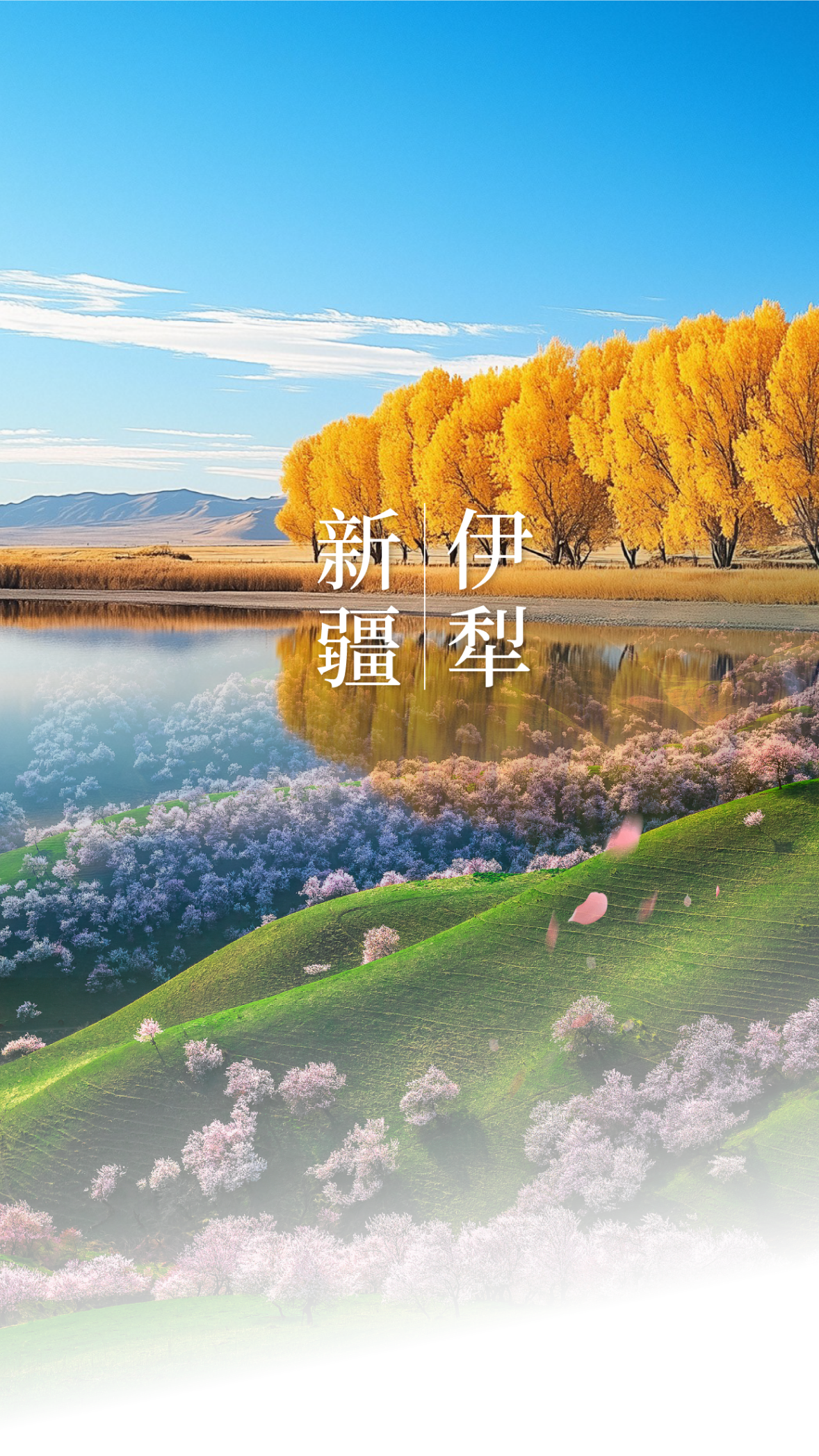图片 1.png