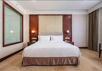 雅阁酒店集团|澳斯特精选，青藏高原上的国际范商旅之选