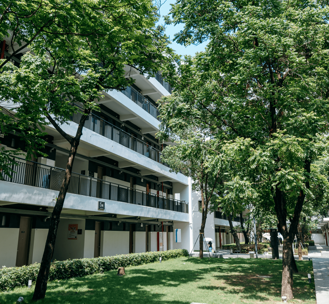 招商伊敦荣获住房租赁企业综合实力TOP10 