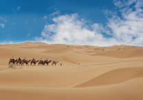 “元游宁夏”累计完成14个数字景区建设