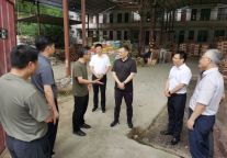 杨宏伟赴资兴市彭公庙村调研指导灾后重建和防汛工作