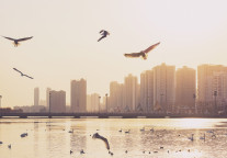 新疆库尔勒万丽酒店及万怡酒店预计2025年三季度开业