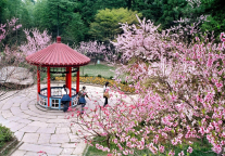 庐山风景区游客井喷式增长的背后：一场全方位的蝶变