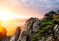 2月11日下午4点起泰山景区各游览线路暂停开放