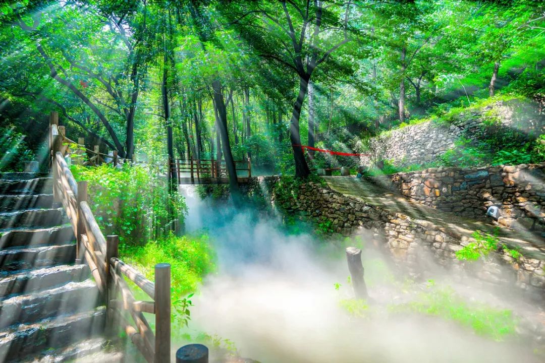 藏在绿色里的夏天，来云丘山感受不一样的视听盛宴……