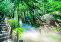 藏在绿色里的夏天，来云丘山感受不一样的视听盛宴……