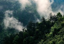 3月1日起，武当山南岩宫景区恢复开放